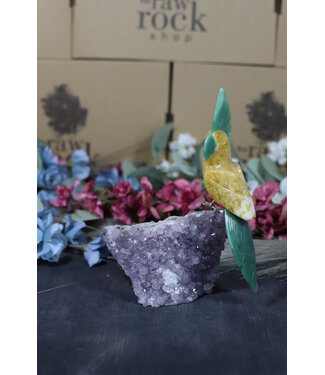 Gemstone Parrot #159, 556gr