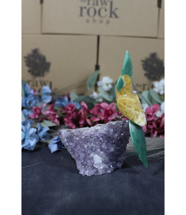 Gemstone Parrot #159, 556gr