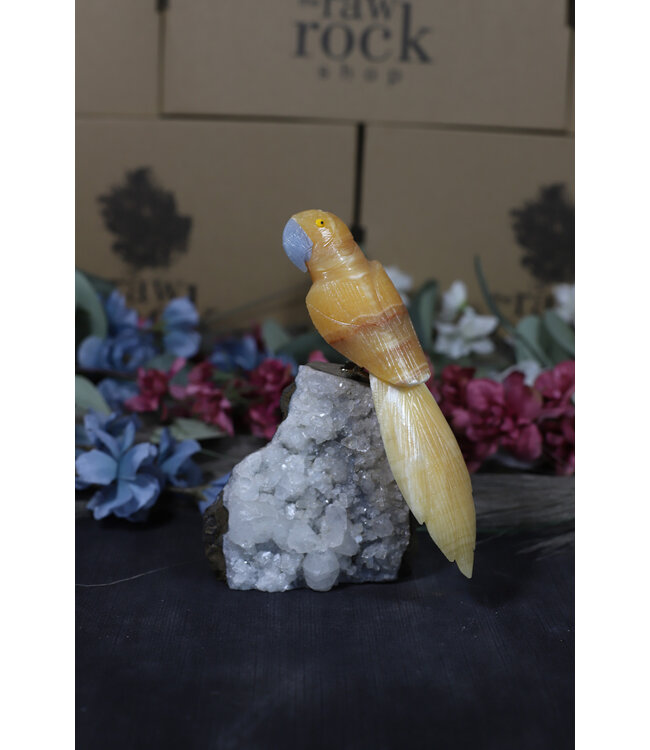 Gemstone Parrot #161, 704gr