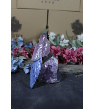 Gemstone Parrot #160, 514gr