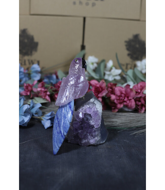 Gemstone Parrot #160, 514gr