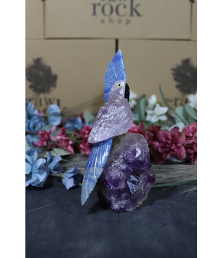 Gemstone Parrot #163, 642gr