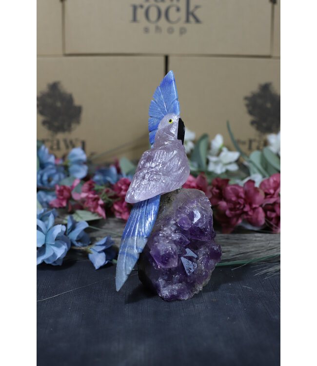 Gemstone Parrot #163, 642gr