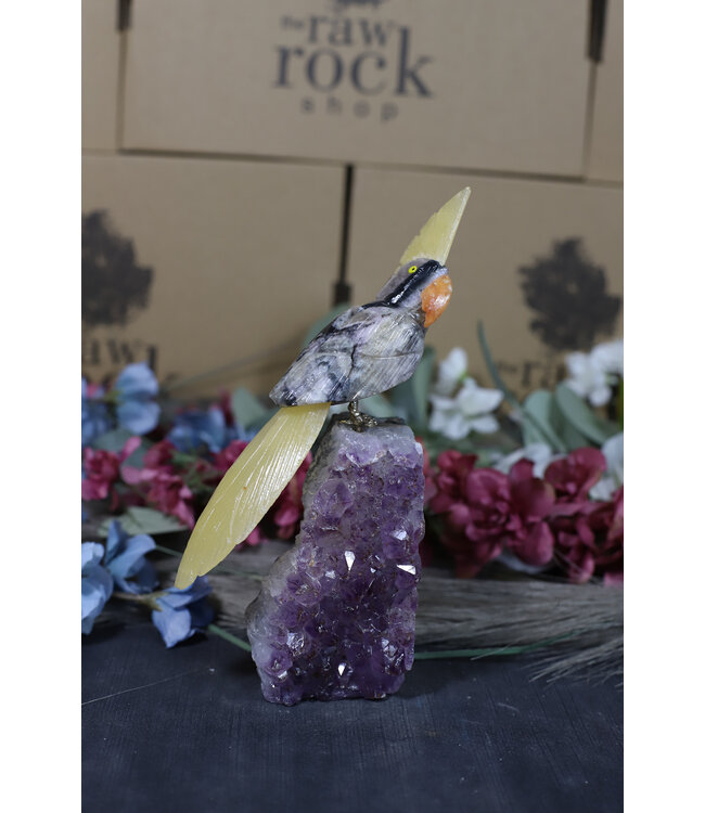 Gemstone Parrot #164, 588gr