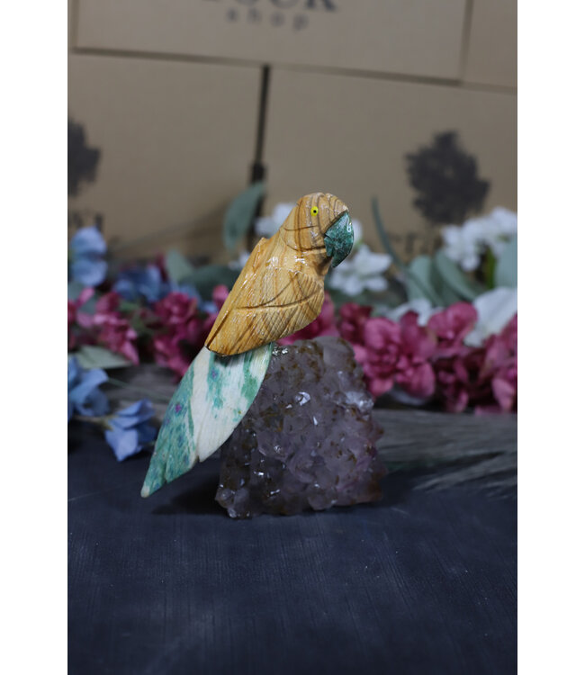 Gemstone Parrot #165, 422gr