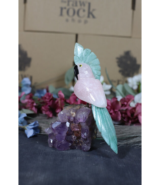 Gemstone Parrot #171, 548gr
