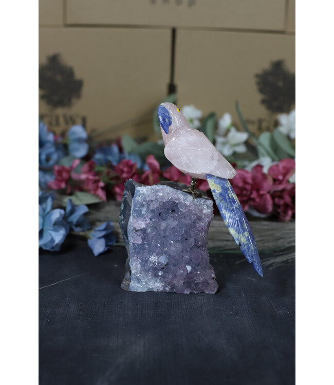 Gemstone Parrot #176, 458gr