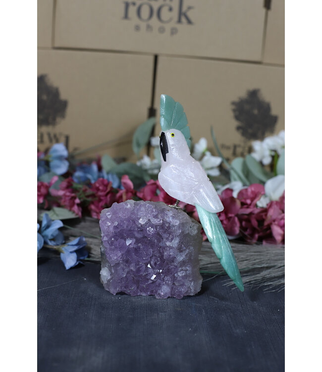 Gemstone Parrot #177, 524gr