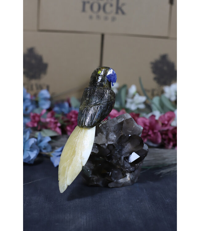 Gemstone Parrot #178, 736gr
