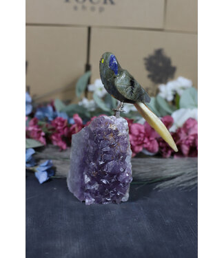 Gemstone Parrot #182, 830gr