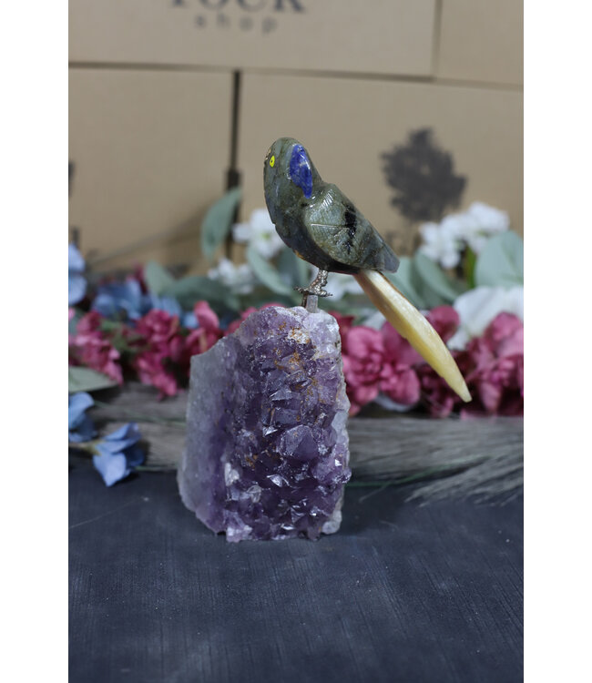 Gemstone Parrot #182, 830gr