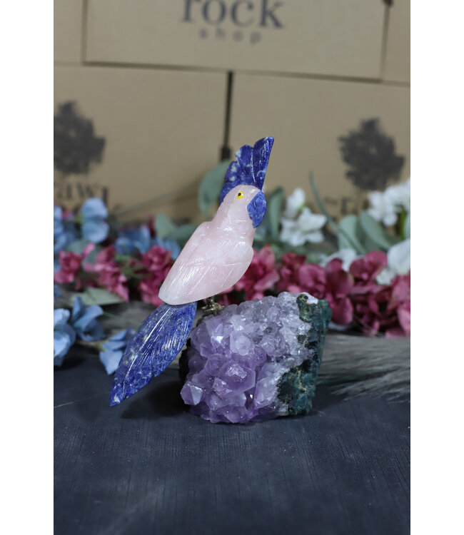 Gemstone Parrot #181, 516gr