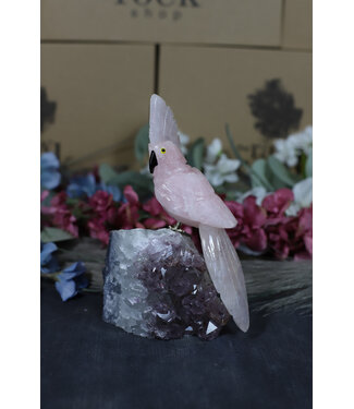 Gemstone Parrot #184, 672gr