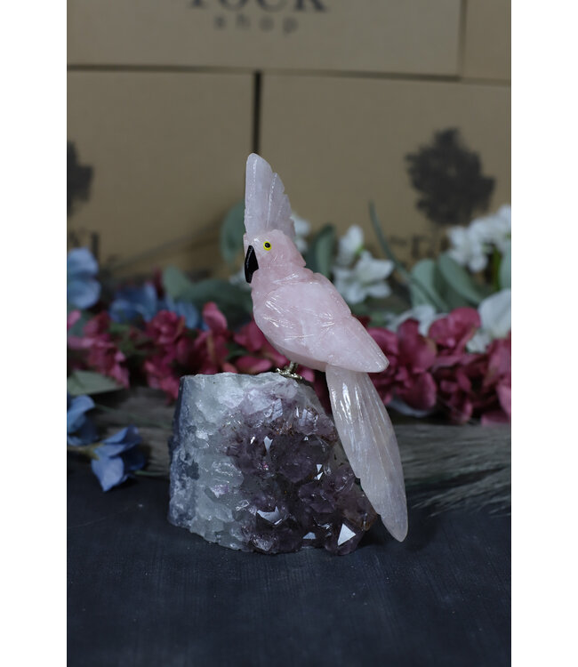 Gemstone Parrot #184, 672gr