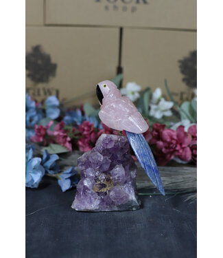 Gemstone Parrot #183, 522gr