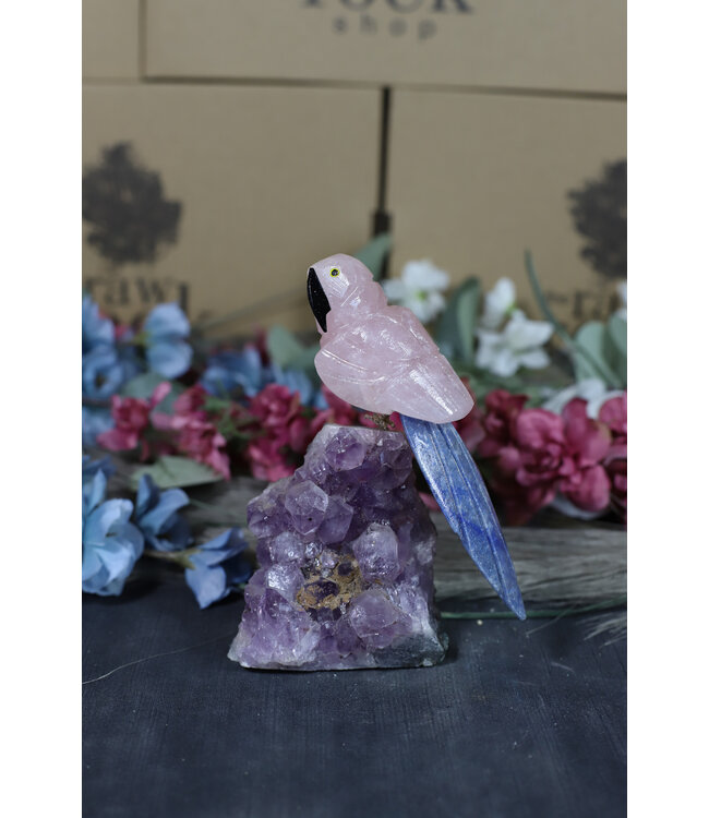 Gemstone Parrot #183, 522gr
