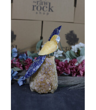 Gemstone Parrot #186, 600gr