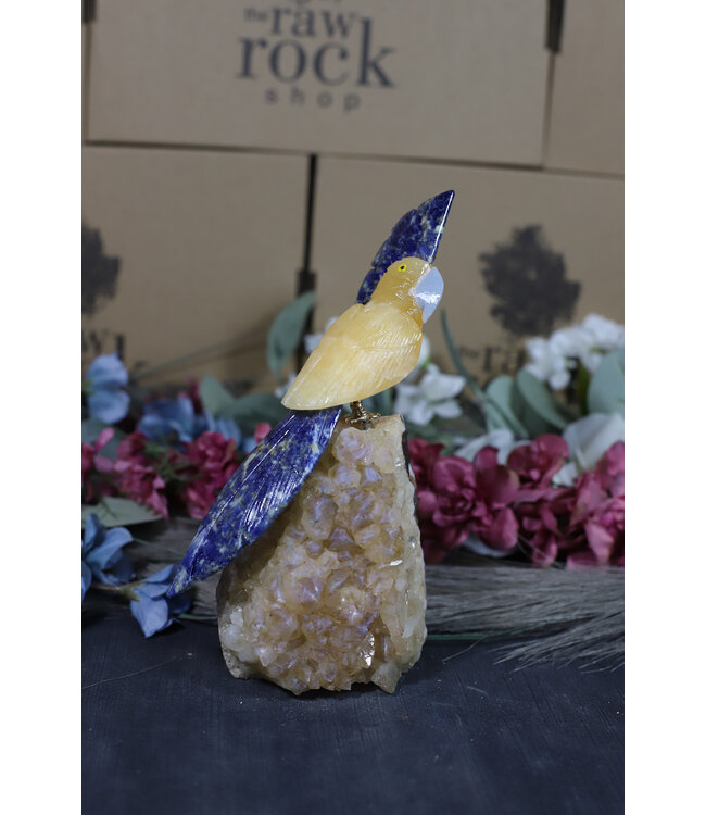 Gemstone Parrot #186, 600gr