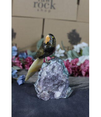 Gemstone Parrot #188, 588gr