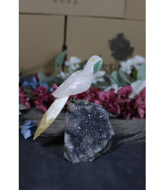 Gemstone Parrot #187, 468gr