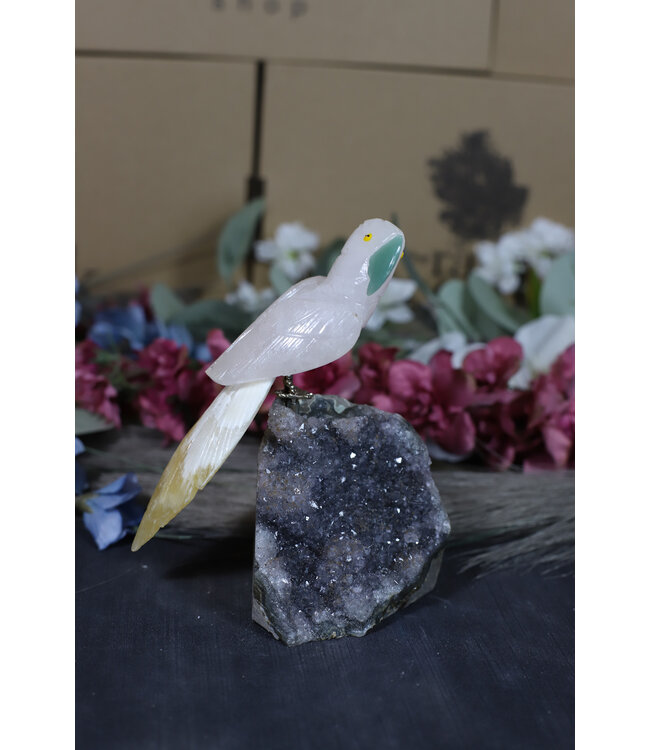 Gemstone Parrot #187, 468gr