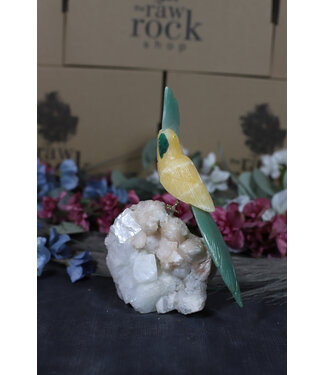 Gemstone Parrot #189, 646gr