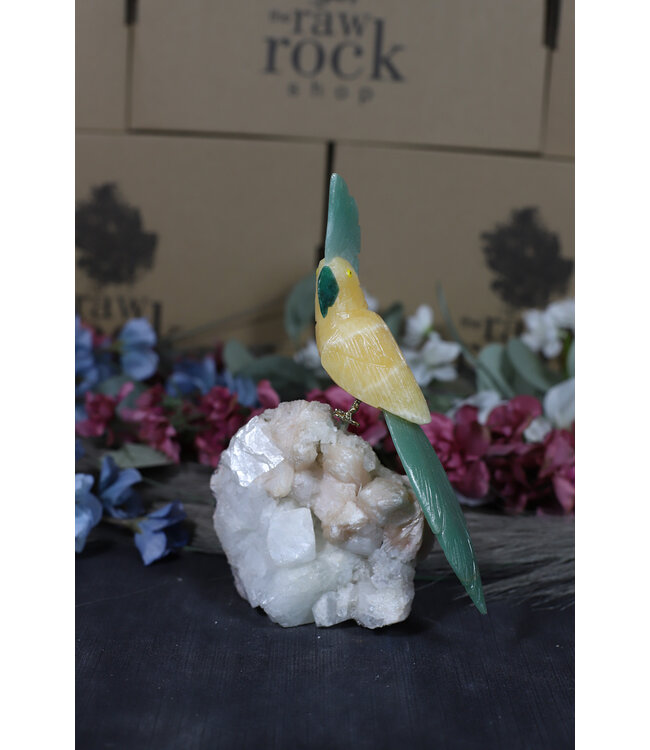 Gemstone Parrot #189, 646gr