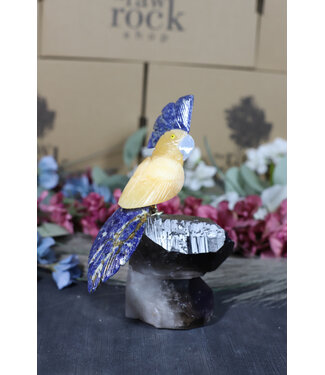 Gemstone Parrot #190, 636gr