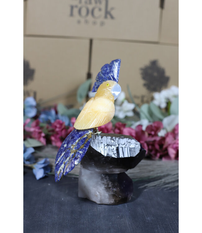 Gemstone Parrot #190, 636gr