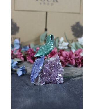 Gemstone Parrot #191, 376gr