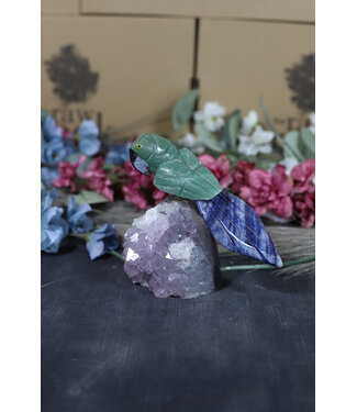 Gemstone Parrot #194, 486gr