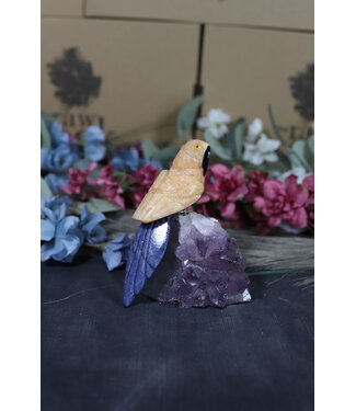 Gemstone Parrot #196, 416gr