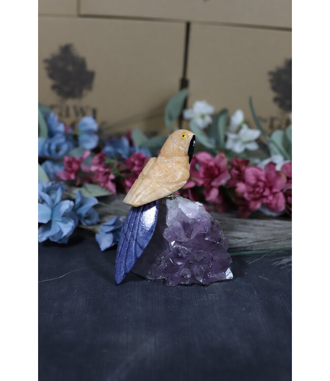 Gemstone Parrot #196, 416gr