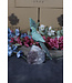 Gemstone Parrot #198, 326gr