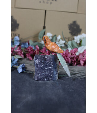 Gemstone Parrot #200, 374gr