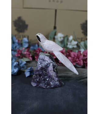 Gemstone Parrot #201, 560gr