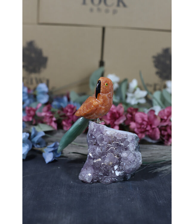 Gemstone Parrot #203, 320gr