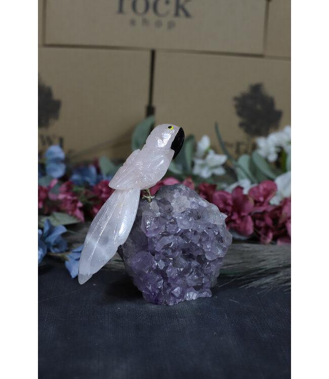 Gemstone Parrot #204, 522gr