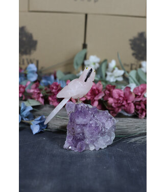 Gemstone Parrot #205, 336gr