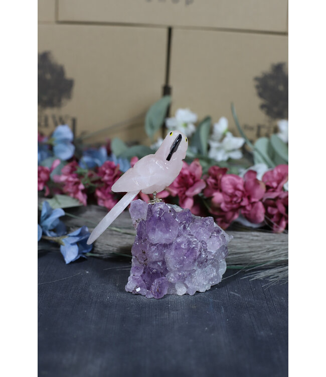 Gemstone Parrot #205, 336gr