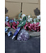 Gemstone Parrot #202, 404gr