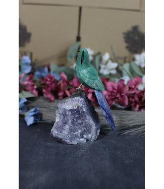 Gemstone Parrot #207, 366gr