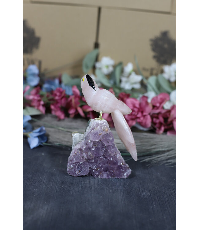 Gemstone Parrot #206, 356gr
