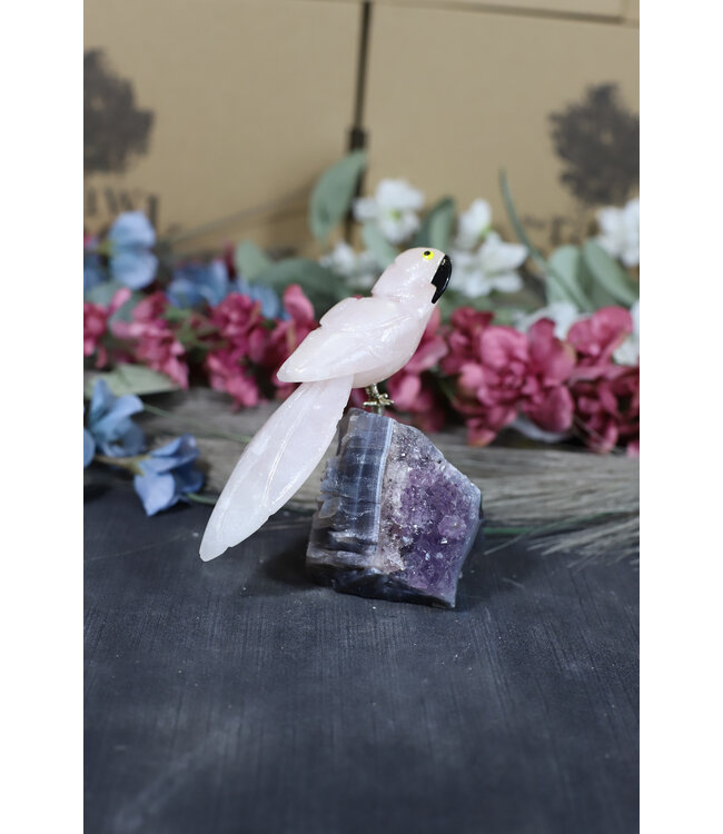 Gemstone Parrot #208, 350gr