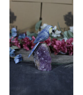 Gemstone Parrot #211, 234gr