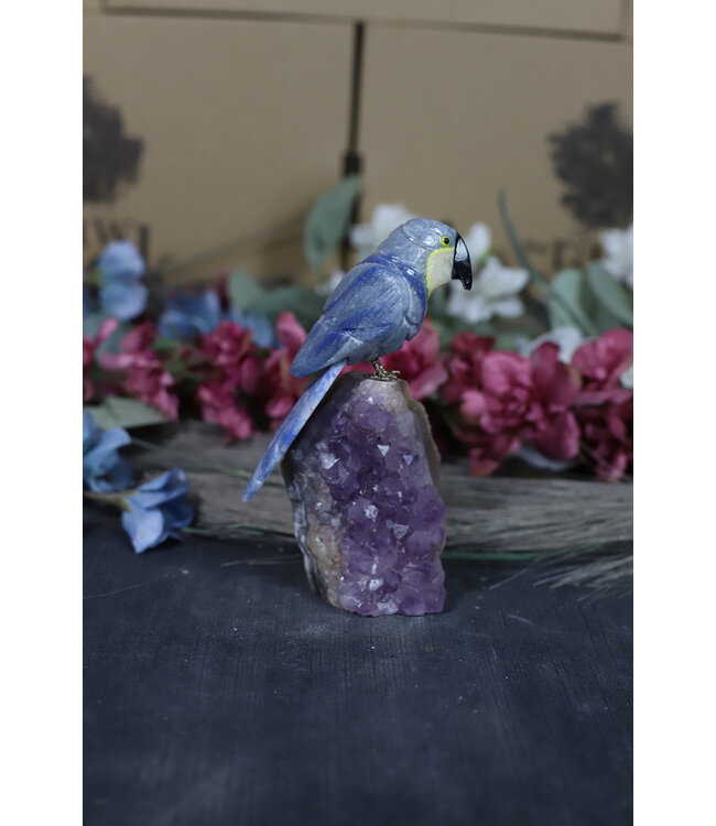 Gemstone Parrot #211, 234gr