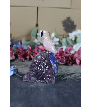 Gemstone Parrot #209, 366gr