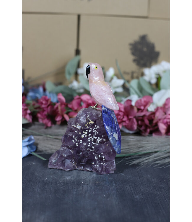 Gemstone Parrot #209, 366gr