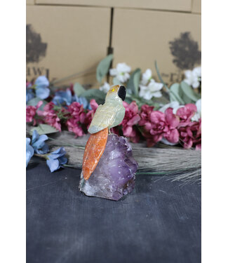 Gemstone Parrot #213, 372gr