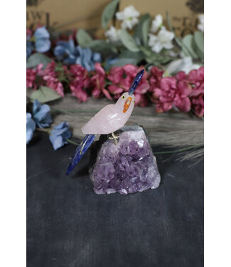 Gemstone Parrot #225, 400gr